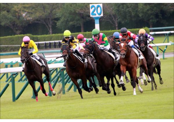 9月20日は中京競馬場でローズSが行われる