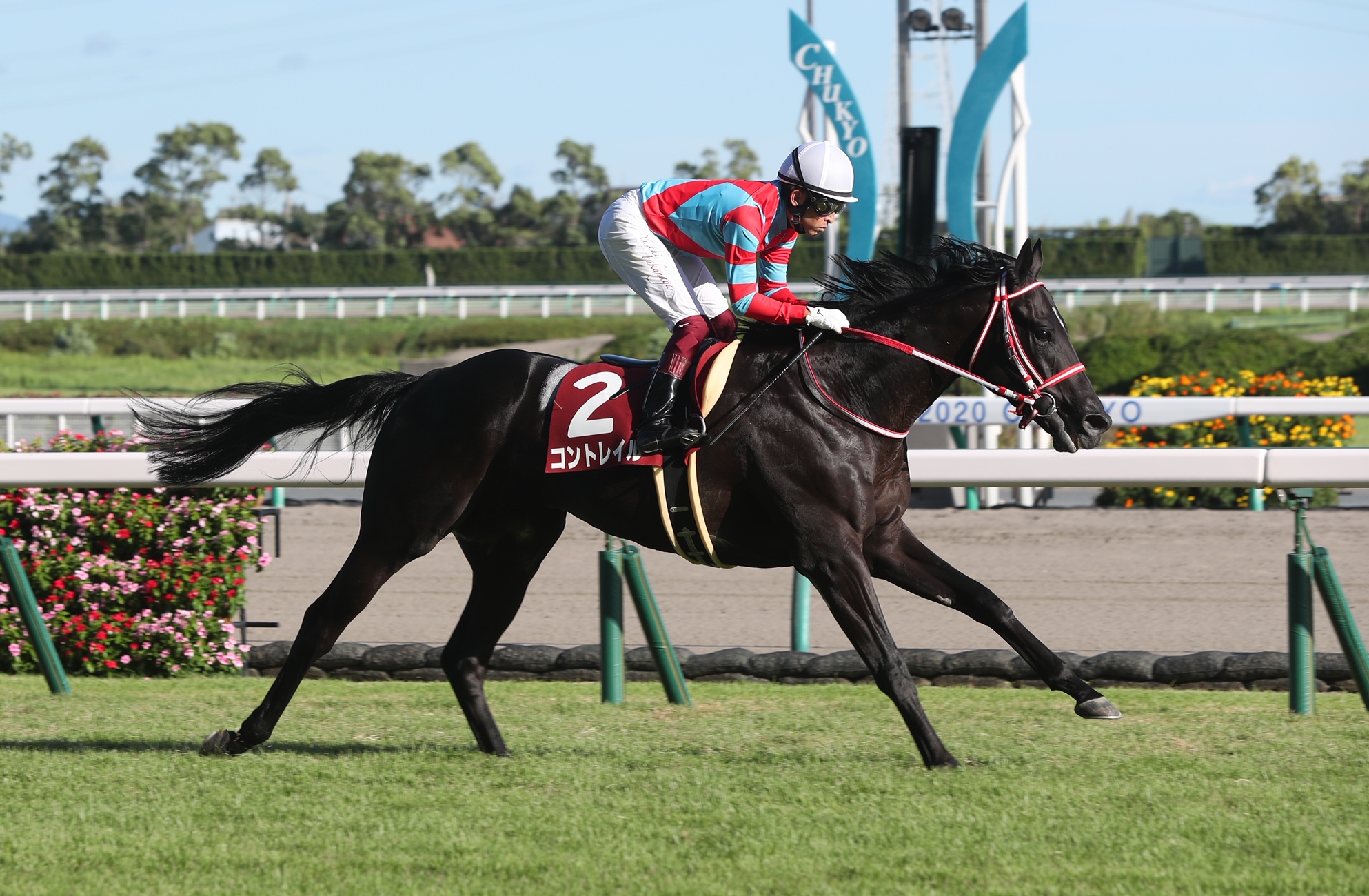 今週も無敗の三冠馬