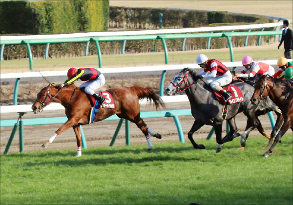 連覇がかかるラッキーライラック