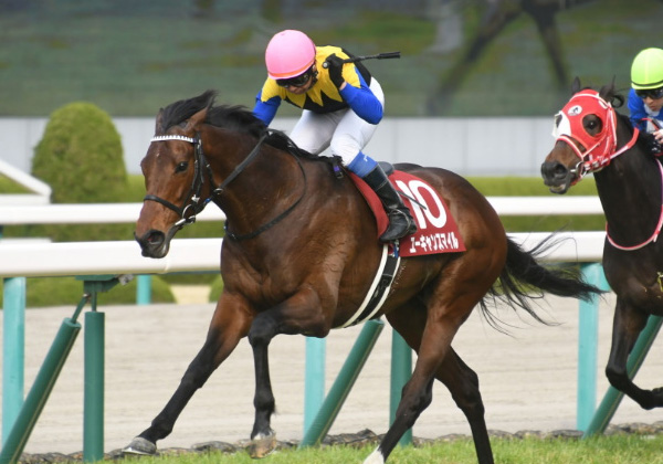 重賞3勝馬ユーキャンスマイルはジャパンCへ、昨年は5着