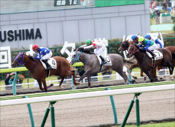 その馬の名はバニシングポイント