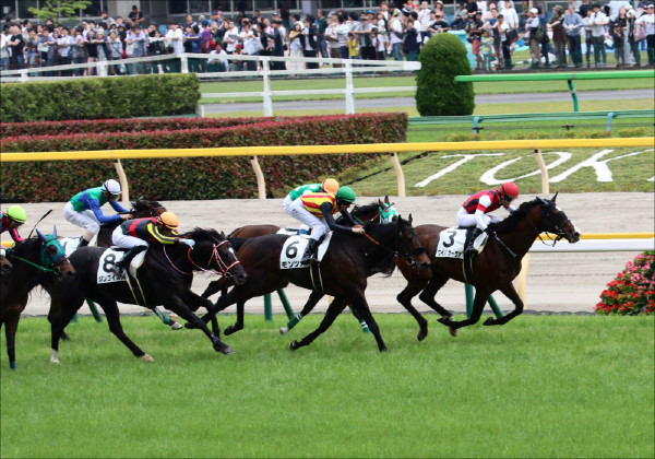 シンザン記念も中京競馬