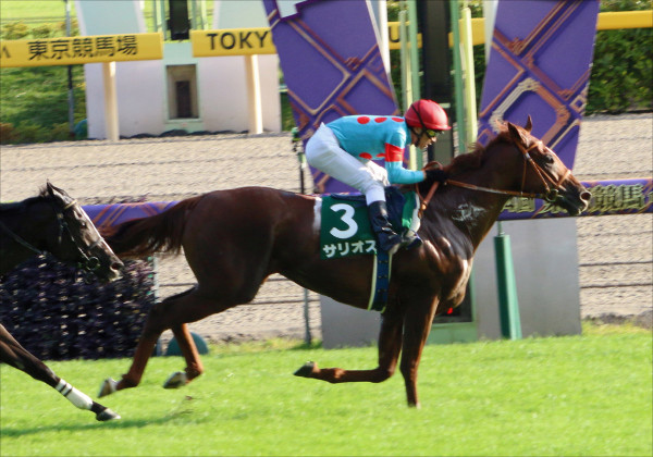 3歳馬はレベルが低いのか？